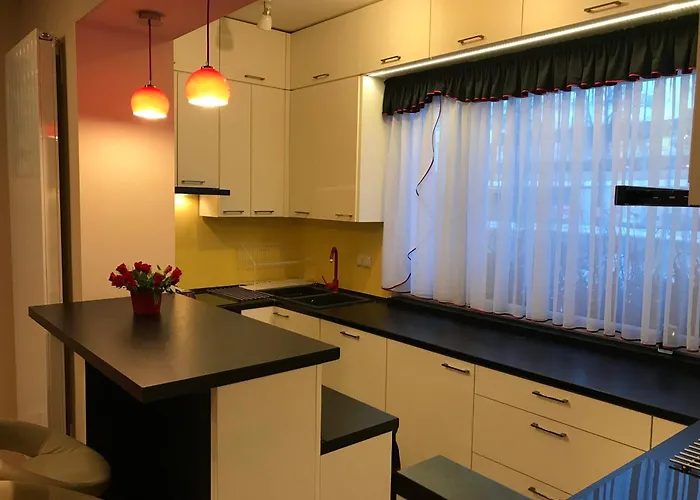 Goscinne Gallick グディニャ