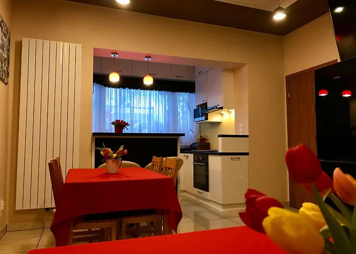 Goscinne Gallick Проживання в сім'ї Гдиня